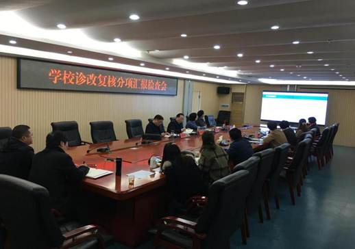 2019.3.10学校召开诊改复核分项汇报检查会